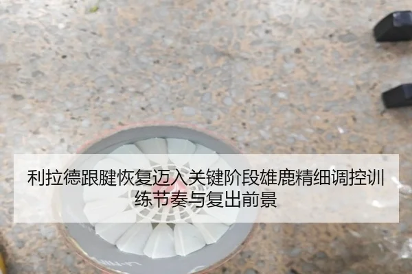 利拉德跟腱恢复迈入关键阶段雄鹿精细调控训练节奏与复出前景